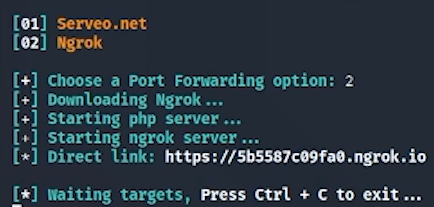selección de opciones saycheese